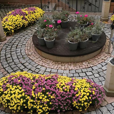 Altstadtidyll Meißen 外观 照片