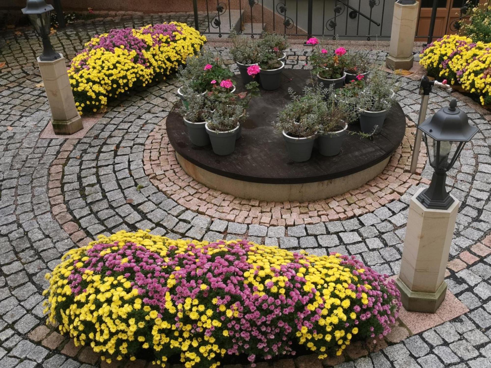 Altstadtidyll Meißen 外观 照片